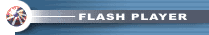 Get <macromedia Flash Player 5>